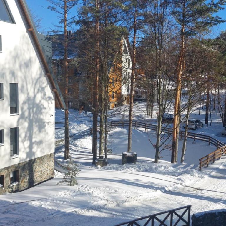 Apartman Infinity MD Divcigora - Apartman sa 1 Spavaćom Sobom - 5