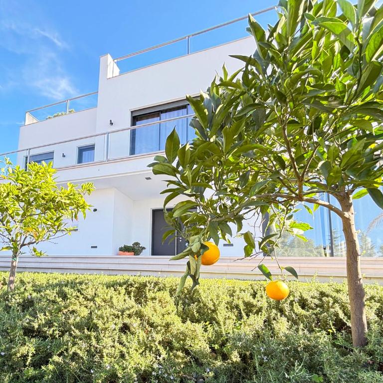 Candado Golf and heated Pool by MalagadeVacaciones - Villa - 12