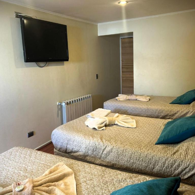 Hostal Don Guillermo - Habitación Triple con baño privado - 19