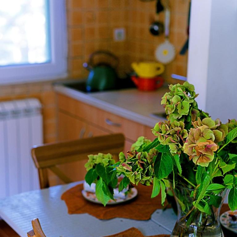 Holiday Home Green House - Kuća sa 3 Spavaće Sobe - 13
