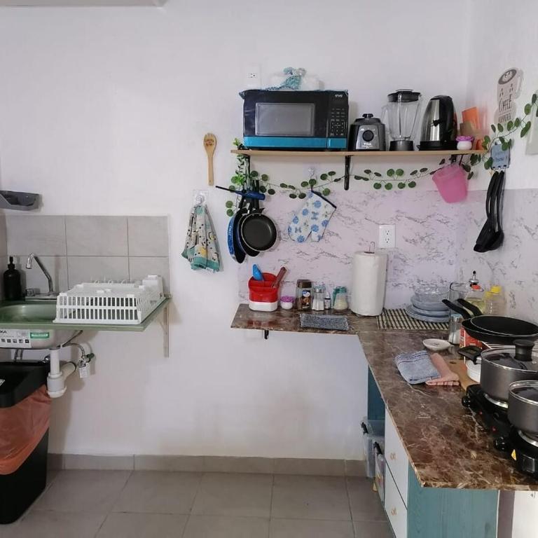 Departamento Nuevo - Apartamento de 2 dormitorios - 2