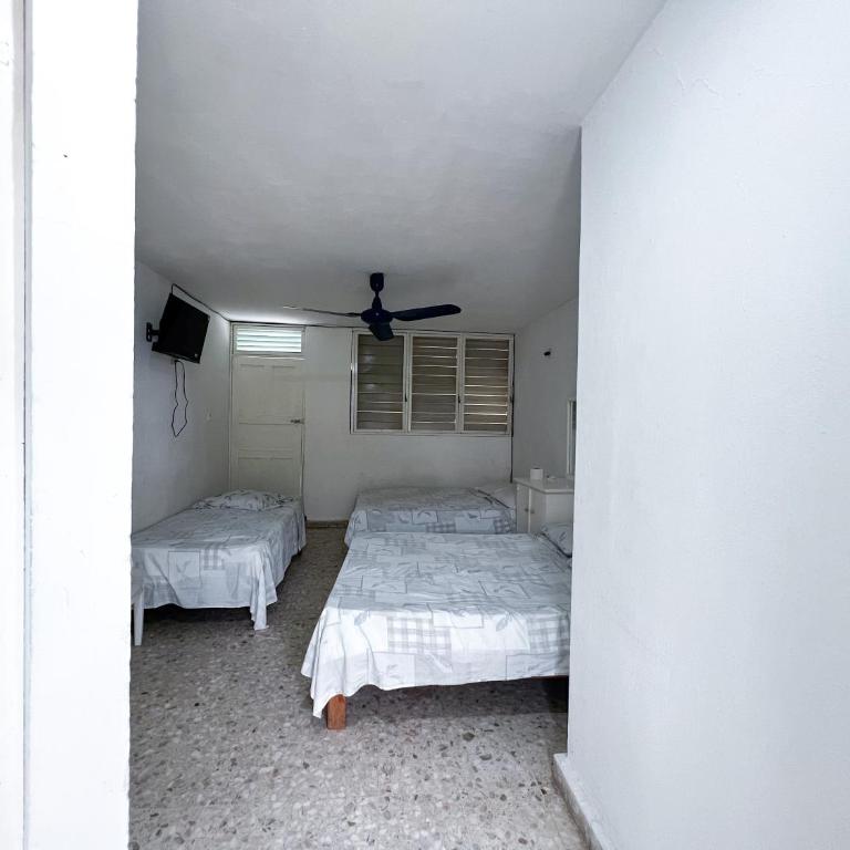 Hotel Walton - Habitación Familiar con balcón - 3