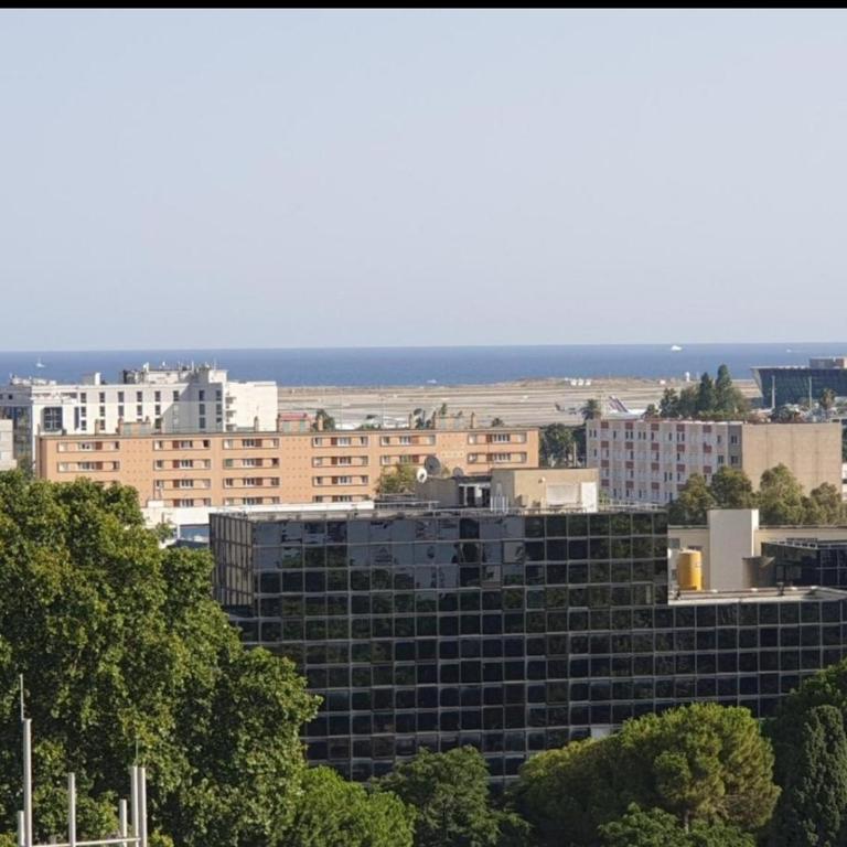 Grand Appartement 5 chambres, 5 télévision , 95 m2, vue mer, tramway sur place, gare train 2 min, aéroport 5 min , Large Apartment 5 bedrooms, 5 televisions, 95 m2, sea view, tram on site, train station 2 mins, airport 5 mins - Apartamento - 1