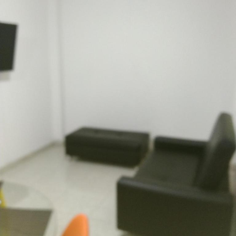 Arriendo apartamento amoblados - Apartamento de 1 dormitorio - 1