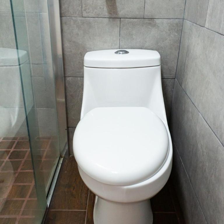 Accommodation near Arena GDL, Zoo & Aquarium M - Apartment - 39