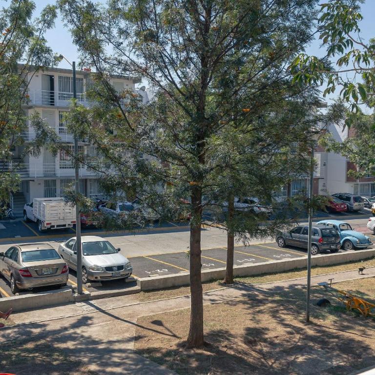 Accommodation near Arena GDL, Zoo & Aquarium M - Apartment - 53