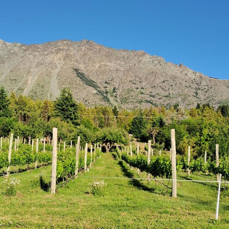 Casa Redonda en Lago Puelo - Deluxe Suite - 36