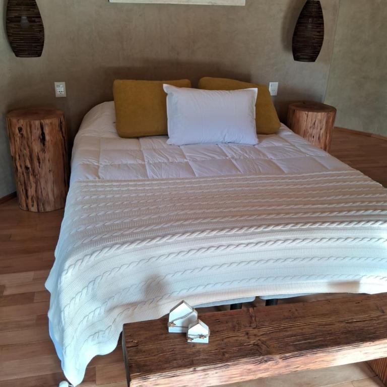 Casa Redonda en Lago Puelo - Deluxe Suite - 4