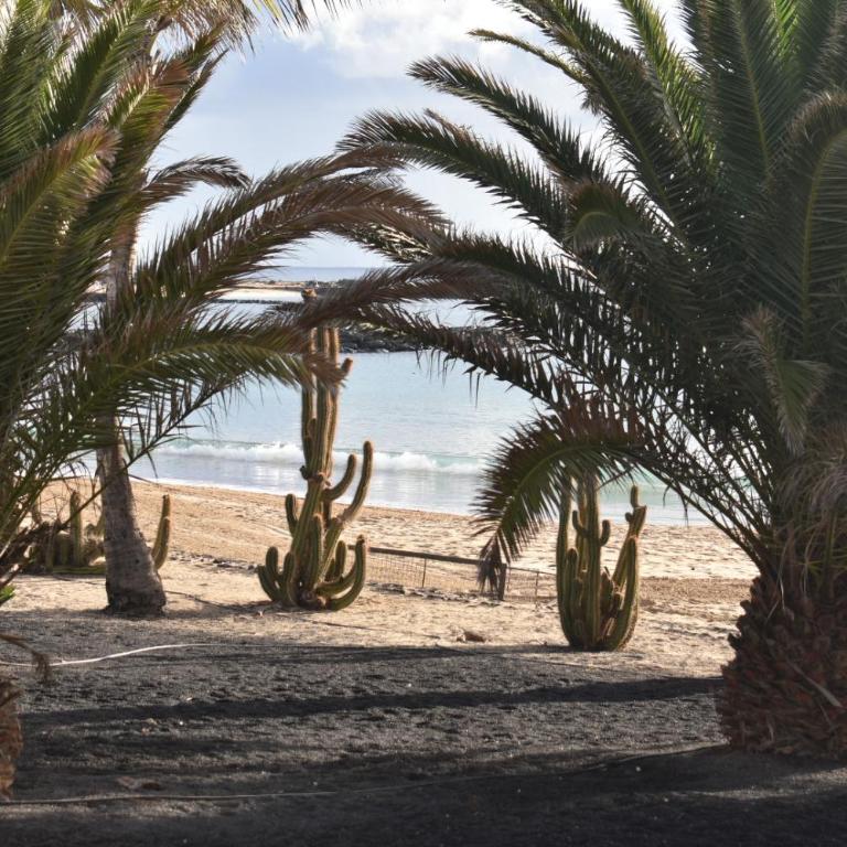 Apartamento Mada - Apartamento de 1 dormitorio - 23