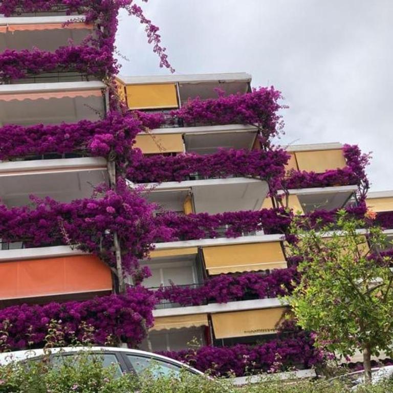 Marvelous sea & garden view, near Carihuela Beach - Apartamento de 2 dormitorios - 20