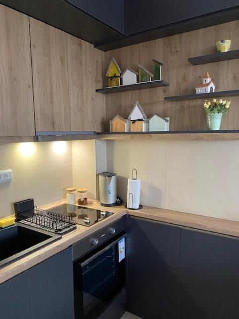 Zlatibor Mountain Wellness&Spa - Apartman sa 1 Spavaćom Sobom - 7