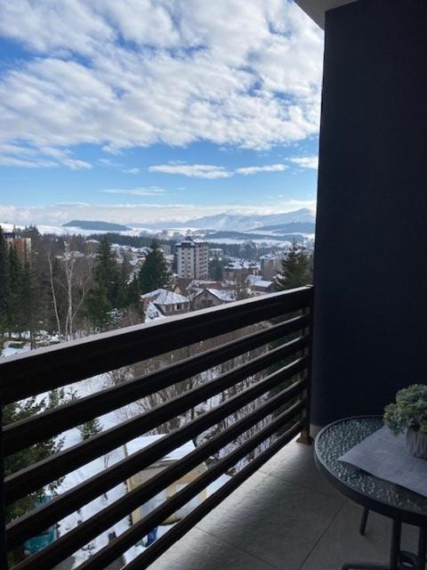 Zlatibor Mountain Wellness&Spa - Apartman sa 1 Spavaćom Sobom - 4