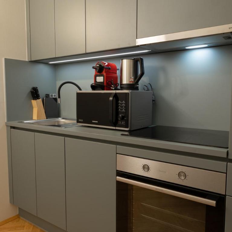 City Apartment Färbergasse Graz - One-Bedroom Apartment - 3
