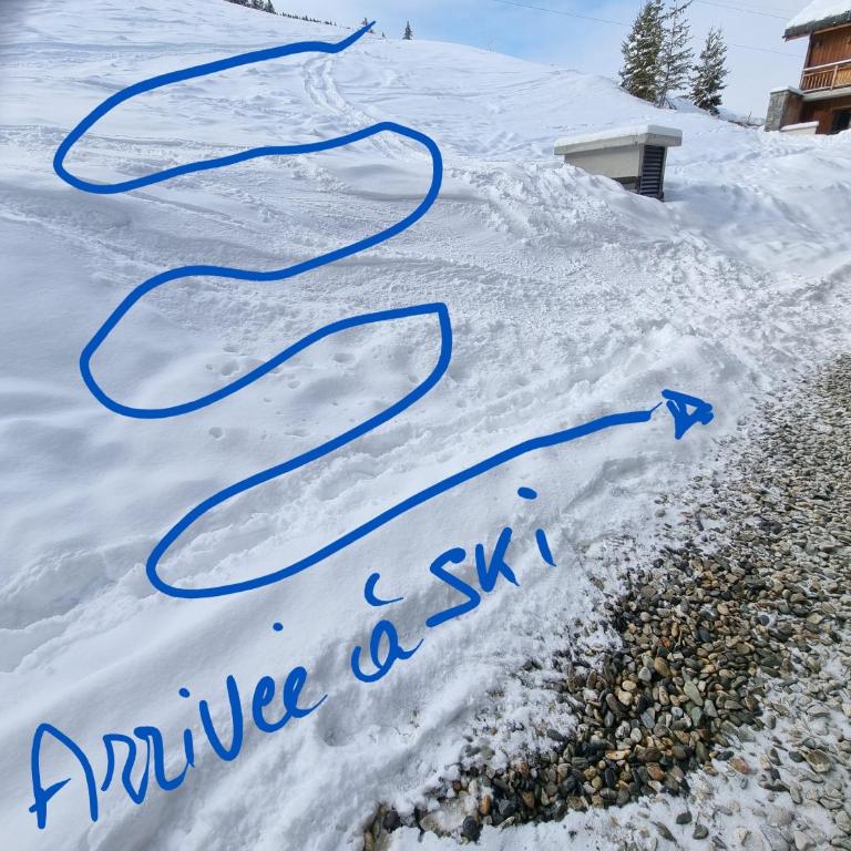 ski au pied, 3ch 2Sdb Garage Terrasse - Appartement - Vue sur Jardin - 52