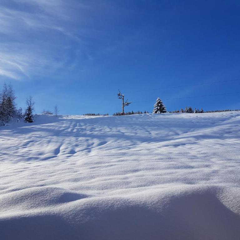 ski au pied, 3ch 2Sdb Garage Terrasse - Appartement - Vue sur Jardin - 55