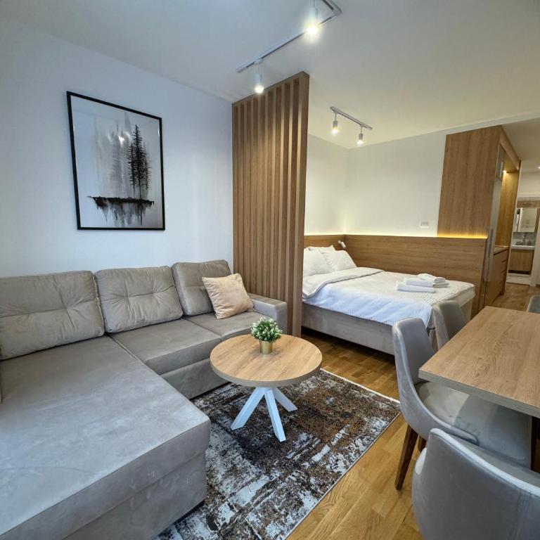 BREATHE - Apartmani Zlatibor Centar - Studio - 9