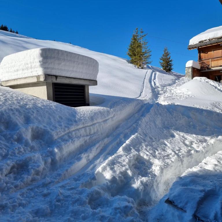 ski au pied, 3ch 2Sdb Garage Terrasse - Appartement - Vue sur Jardin - 56