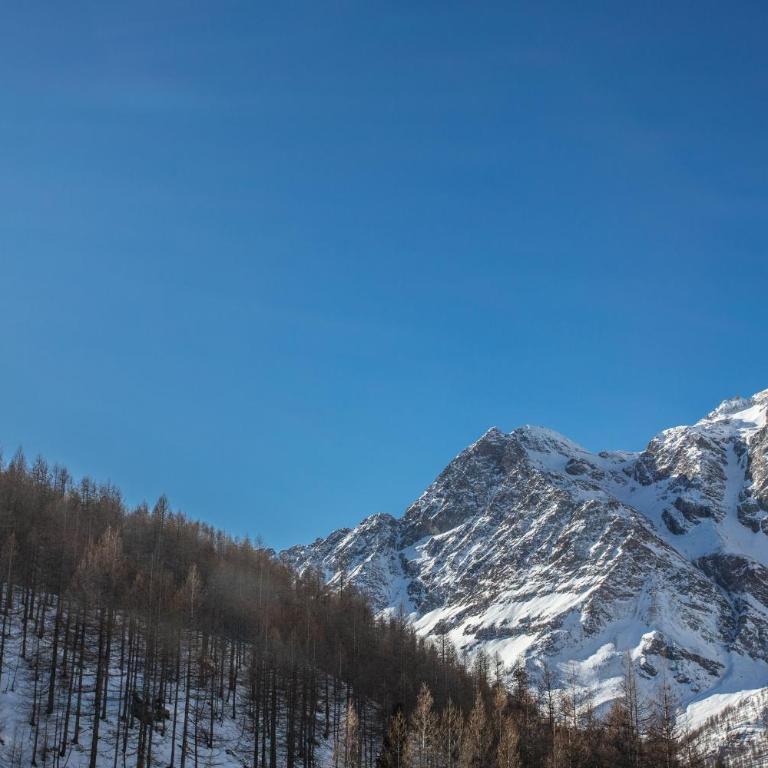 WHISPERING PINES LODGE Mountain view apartment with ski-in access - Appartamento con 1 Camera da Letto - 30