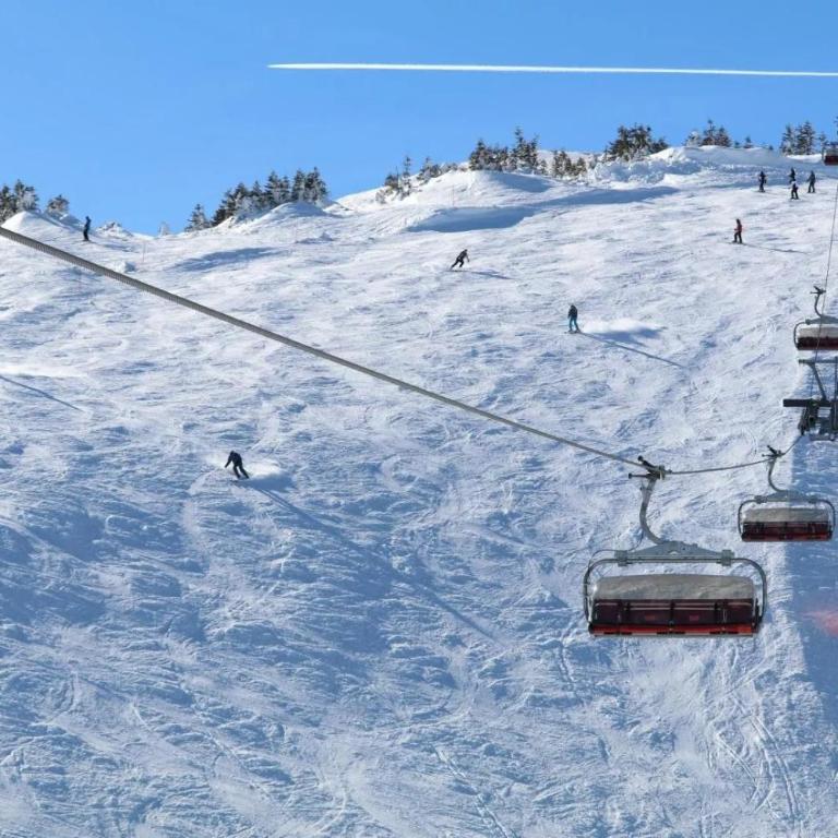 Apartman Dvije Pahuljice Jahorina - Two-Bedroom Apartment - 9