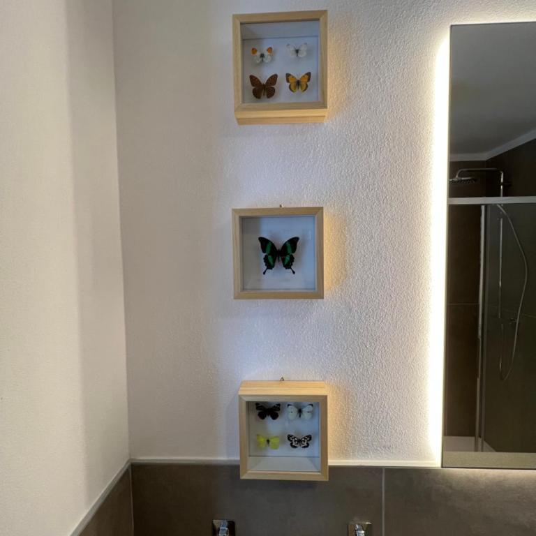 rosina apartment - Madesimo centro, private car parking - Appartamento con 1 Camera da Letto - 13