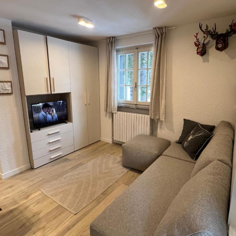 rosina apartment - Madesimo centro, private car parking - Appartamento con 1 Camera da Letto - 28