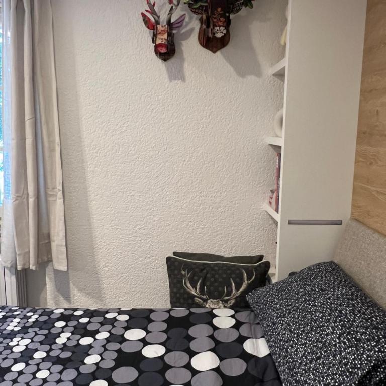 rosina apartment - Madesimo centro, private car parking - Appartamento con 1 Camera da Letto - 36
