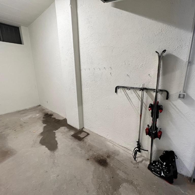 rosina apartment - Madesimo centro, private car parking - Appartamento con 1 Camera da Letto - 44