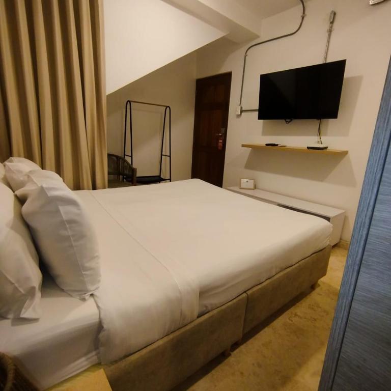 Del Mar Guest House - Small Basement Room - 1