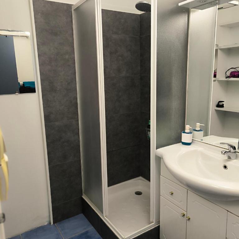 Appartement ALBI avec parking - Appartamento con 3 Camere da Letto - 9