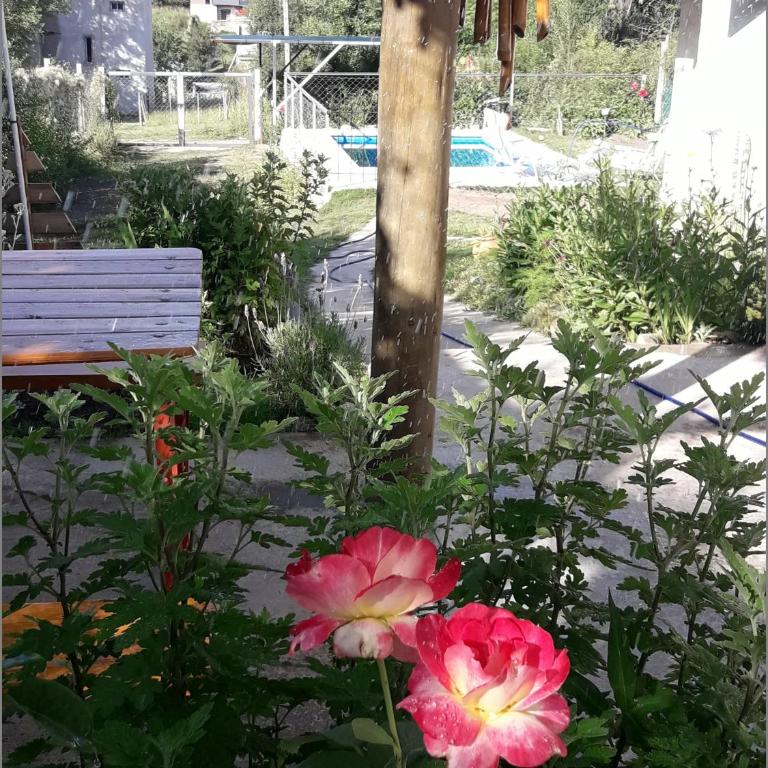 La Santa Cabaña - Cordoba - Apartamento de 1 dormitorio - 6