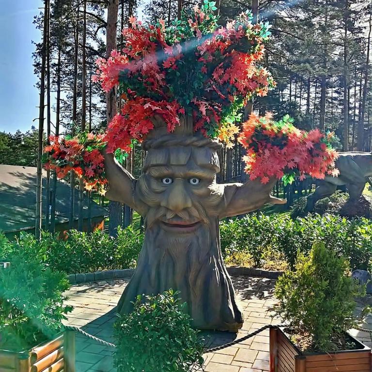 Silver Star Zlatibor - Apartman sa 1 Spavaćom Sobom - 88