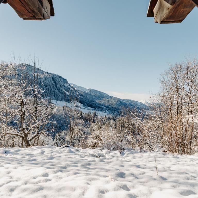 Les Chalets du Mont d'Arbois & Spa, Megève - Chambre Gentiane - 12