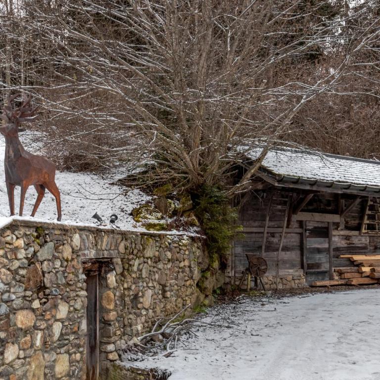 Ferme des Choseaux - Grand Confort et ski - Chalet Supérieur - 53