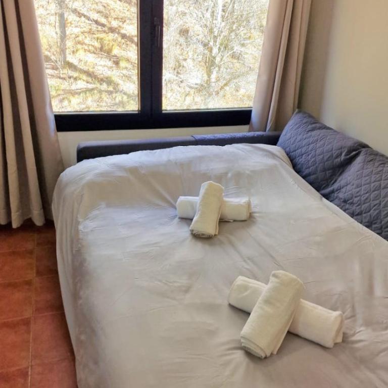 Snow Paradise Gorbea - Apartamento de 1 dormitorio - 14