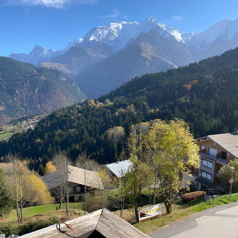 Le Saphir - Vue spectaculaire sur les Montagnes - Appartamento con 1 Camera da Letto, Balcone e Vista Montagna - 10