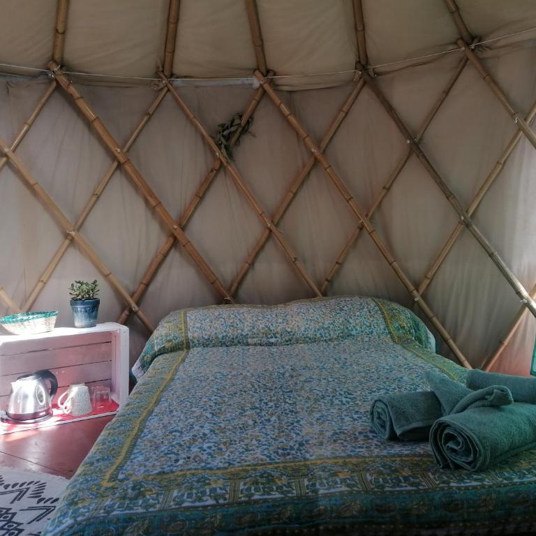 Terra Cristal - Amatista - Habitación Doble - 2