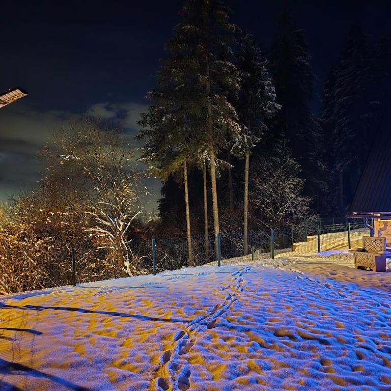 Vikendica Villa Marija Pale - One-Bedroom House - 12