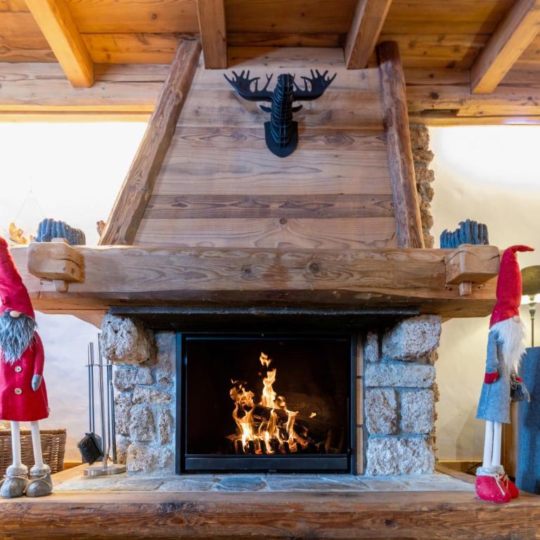 2 spacieux appartements dans une ferme rénovée face au MontBlanc - Appartement - Rez-de-Chaussée - 16