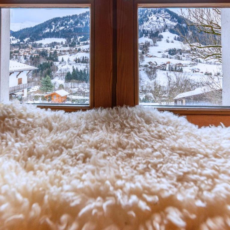 2 spacieux appartements dans une ferme rénovée face au MontBlanc - Appartement - Rez-de-Chaussée - 24