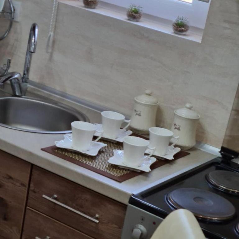 Apartman Cukić Zlatibor - One-Bedroom Apartment - 13