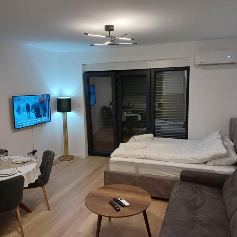 Central Suite - One-Bedroom Apartment - 1