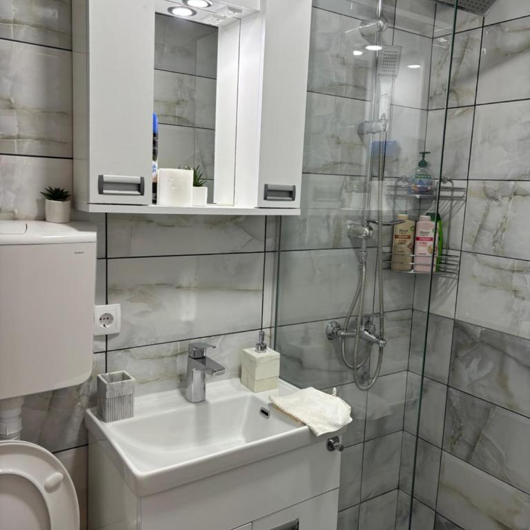 Old town apartments - Dvokrevetna Soba sa Bračnim Krevetom/Zasebnim Krevetima - 8