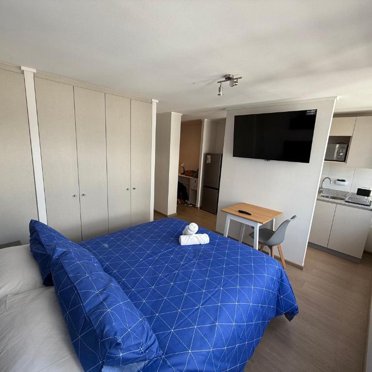 Studio céntrico con estacionamiento - Apartamento de 1 dormitorio - 1