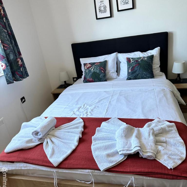 Milmari Apartman Kopaonik - Apartman sa 1 Spavaćom Sobom - 2