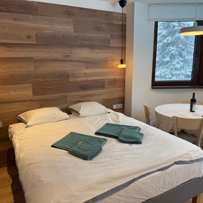 Juli Kop - Studio apartman sa 1 bračnim krevetom - 9