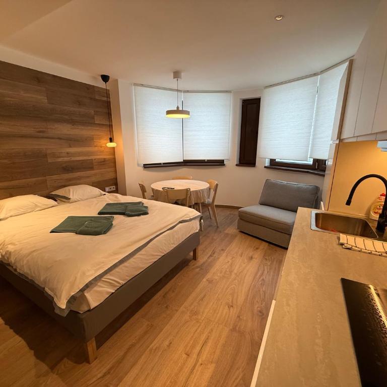 Juli Kop - Studio apartman sa 1 bračnim krevetom - 10