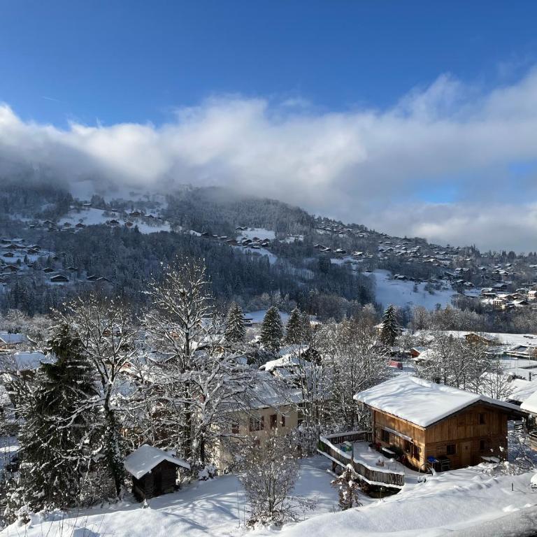 Les fermes de saint gervais - Appartamento con 2 Camere da Letto - 2