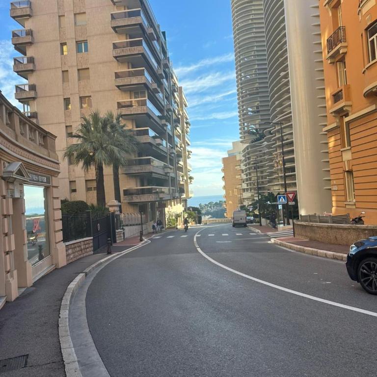Studio 36mt2 a 5 min a pied boulevard de Belgique MC - Studio - 27