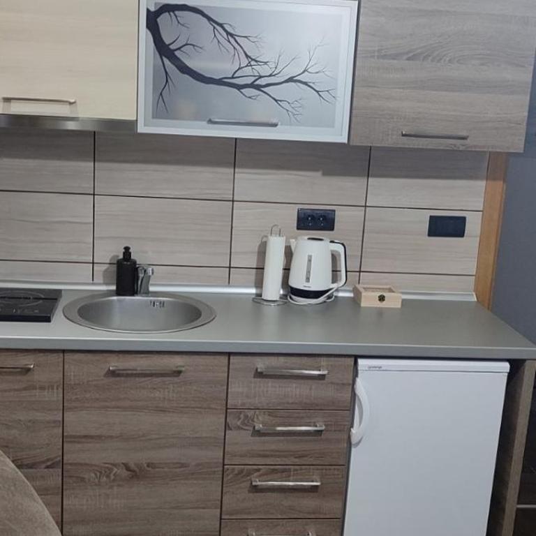 Apartman LuPa - Apartman sa 1 Spavaćom Sobom - 2