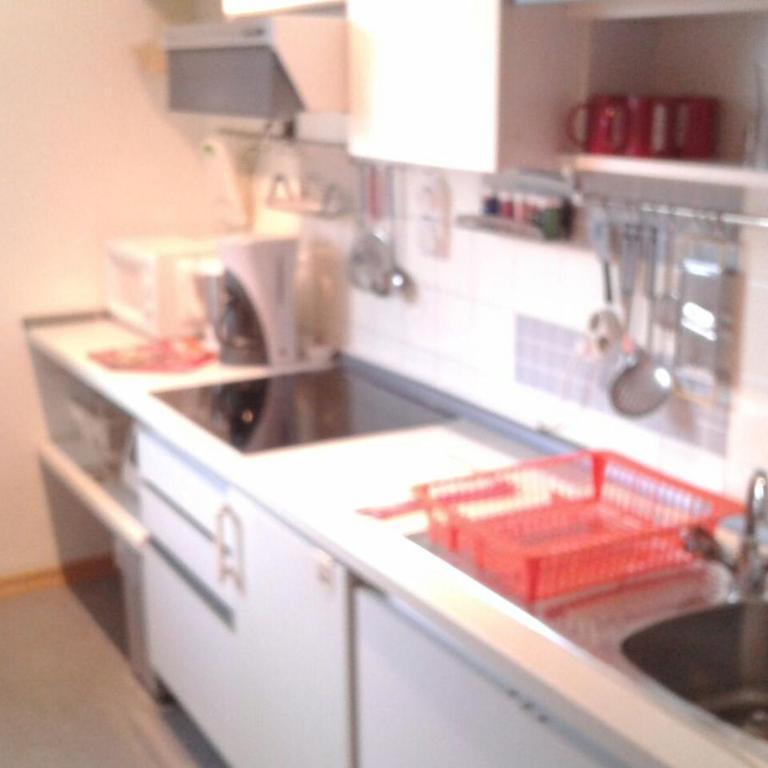 Ferienwohnung Pichlarn - Apartamento de 1 dormitorio con balcón - 87